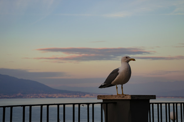 Sorrento Otel Fiyatları