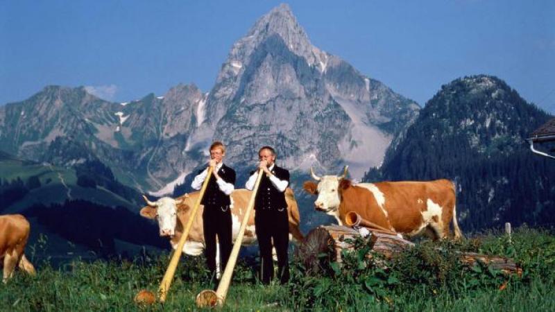 switzerland-alphorns.jpg