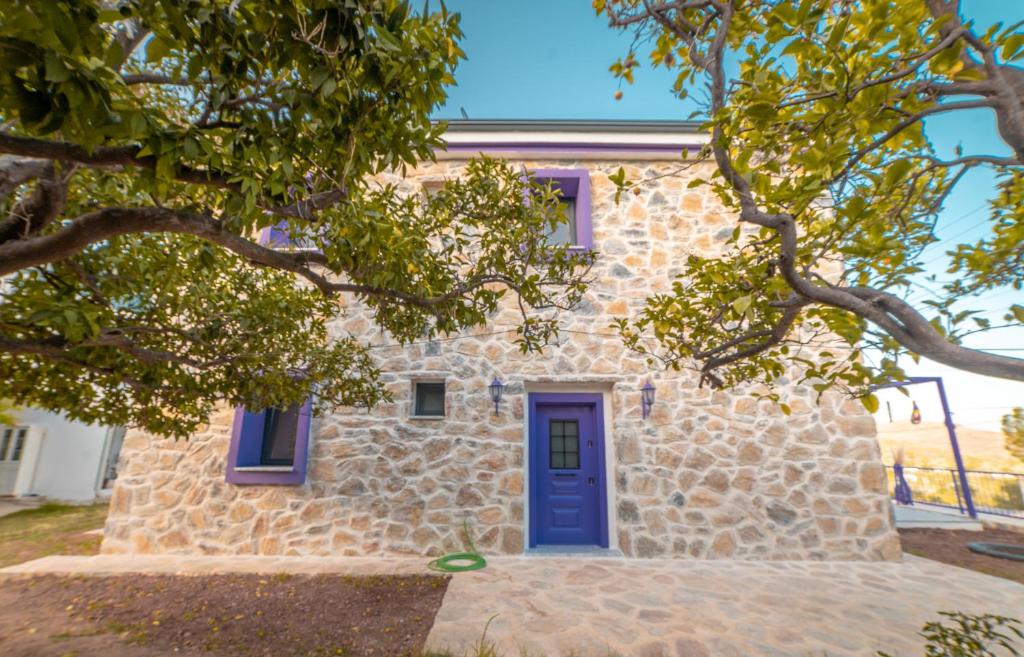 Butik Mor Salkım Evleri