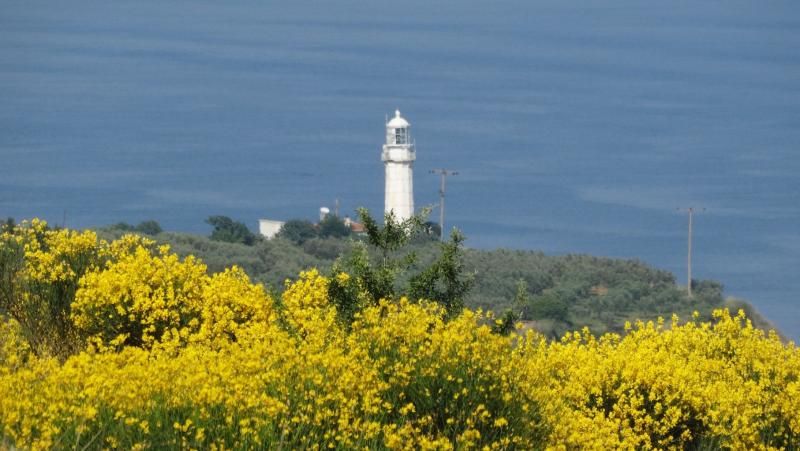 Hora Feneri